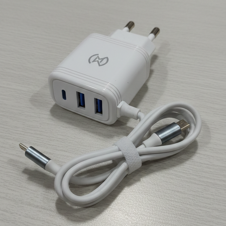 WM 27 3.1A Fast Micro USB Charger with Dual USB Ports – Cable & Adapter by WM - Image 4