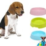 round  Shaped food bowl Pet Plastic food bowl (Random Color)  8 inch thumbnail 3