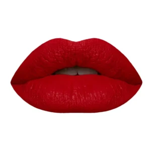 (Pack of 6 ) Crazy Girl Ice cream Matte Lipgloss,