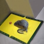 Mouse and Rat Glue Board  (Book Type) thumbnail 1