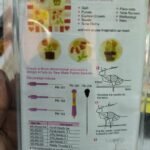 Embroidery Punch Needle ,Embroidery Pen thumbnail 5
